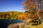 Picture of HIGHLAND AUTUMN I