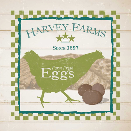 Picture of HARVEY FARMS EGGS