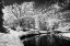 Picture of BRYAN LAKE II