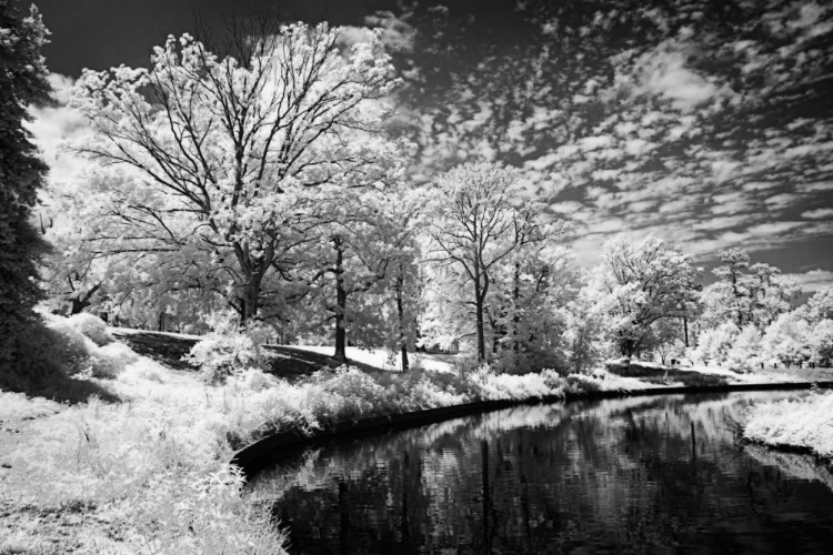 Picture of BRYAN LAKE II