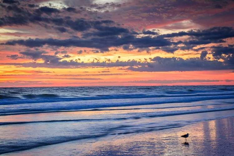 Picture of GULLS ON THE SHORE II