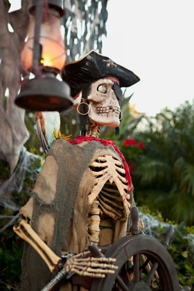 Picture of PIRATE SKULL II