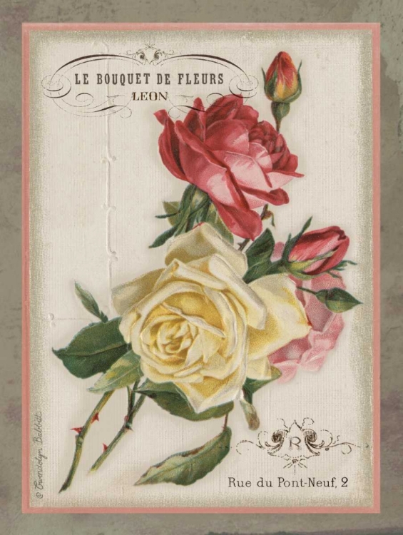 Picture of FRENCH ROSE II