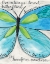 Picture of TURQUOISE BUTTERFLY