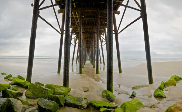 Picture of UNDER OCEANSIDE PIER