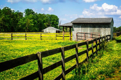 Picture of SPRING PASTURE II