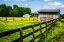 Picture of SPRING PASTURE II