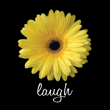 Picture of LAUGH DAISY