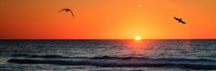 Picture of MASONBORO INLET SUNRISE II