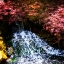 Picture of GENTLE WATERFALL I