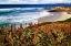 Picture of POINT LA JOLLA I