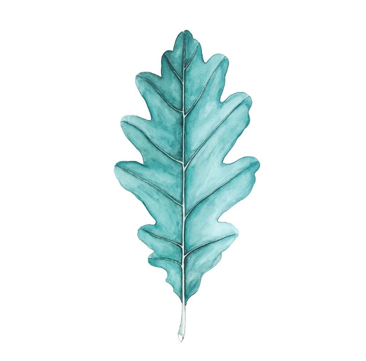 Picture of OAK LEAF