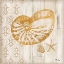 Picture of SAINT TROPEZ SHELLS III