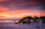 Picture of SEPTEMBER SUNRISE V
