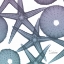 Picture of LAVENDER DIPPED STARFISH 1
