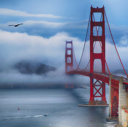 Picture of GOLDEN GATE BRIDGE VIII