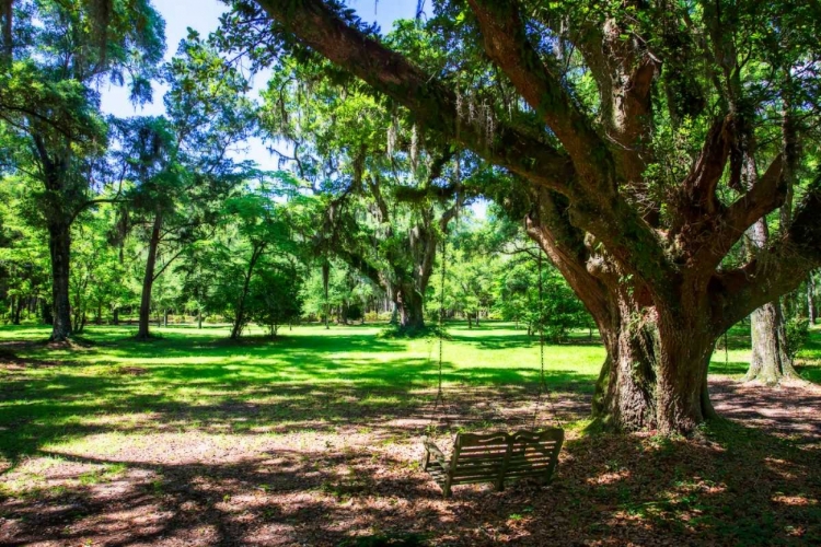 Picture of SUMMER SWING