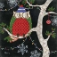 Picture of WINTER FANTASY OWLS II