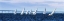 Picture of CLOSE HAULED FLOTILLA I