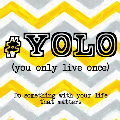 Picture of YOLO