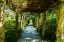 Picture of AN ARBORED PATHWAY
