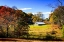 Picture of WEATHERED BARN