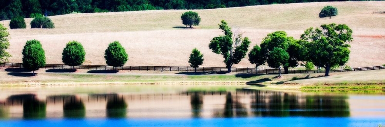 Picture of VIRGINIA VINEYARDS II