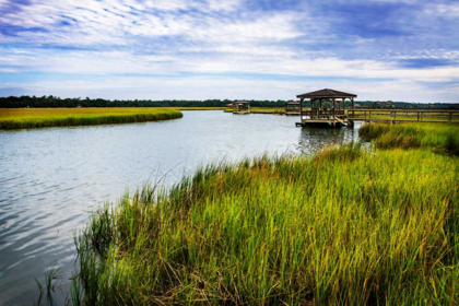 Picture of PAWLEY ISLAND I
