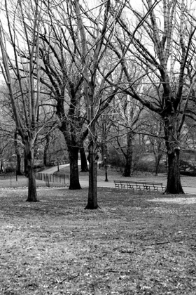 Picture of CENTRAL PARK IMAGE 013