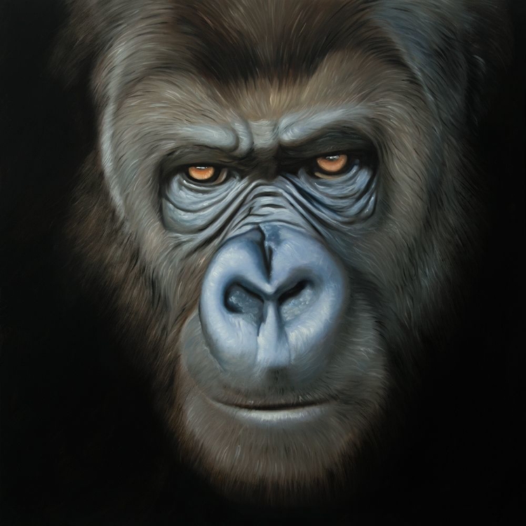 Picture of GORILLA FACE