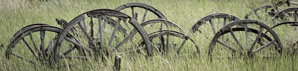 Picture of OLD WAGON WHEELS III
