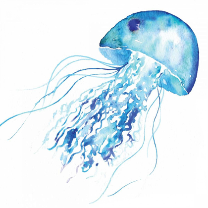 Picture of BLUE JELLYFISH