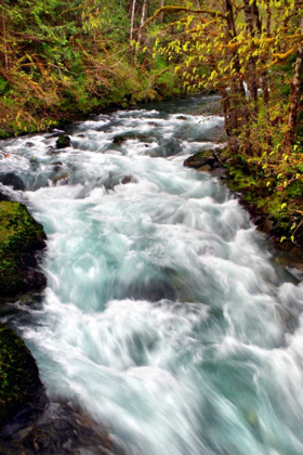 Picture of HAMMA HAMMA RIVER