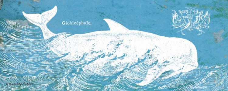 Picture of CARIBBEAN WHALE I
