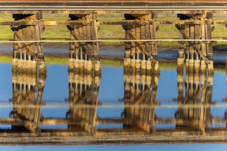 Picture of RAILROAD BRIDGE REFLECTION