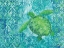 Picture of TURTLE BATIK