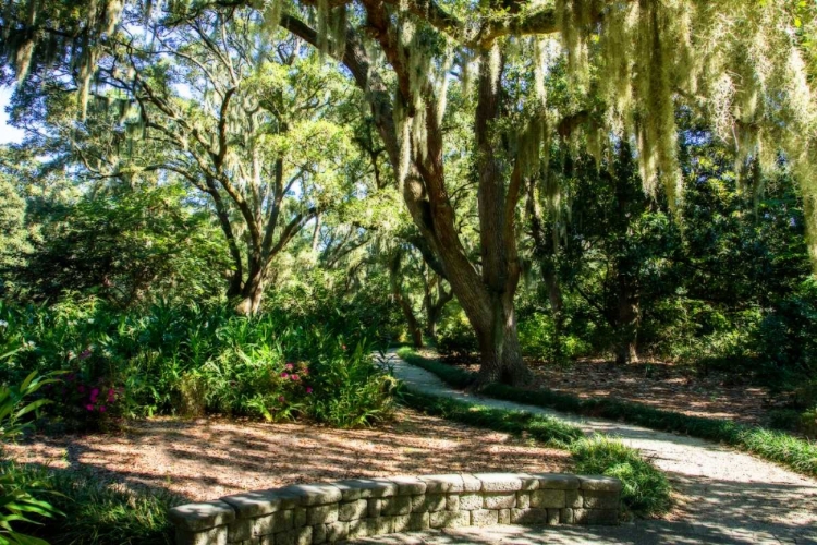 Picture of GARDEN BY THE SEA