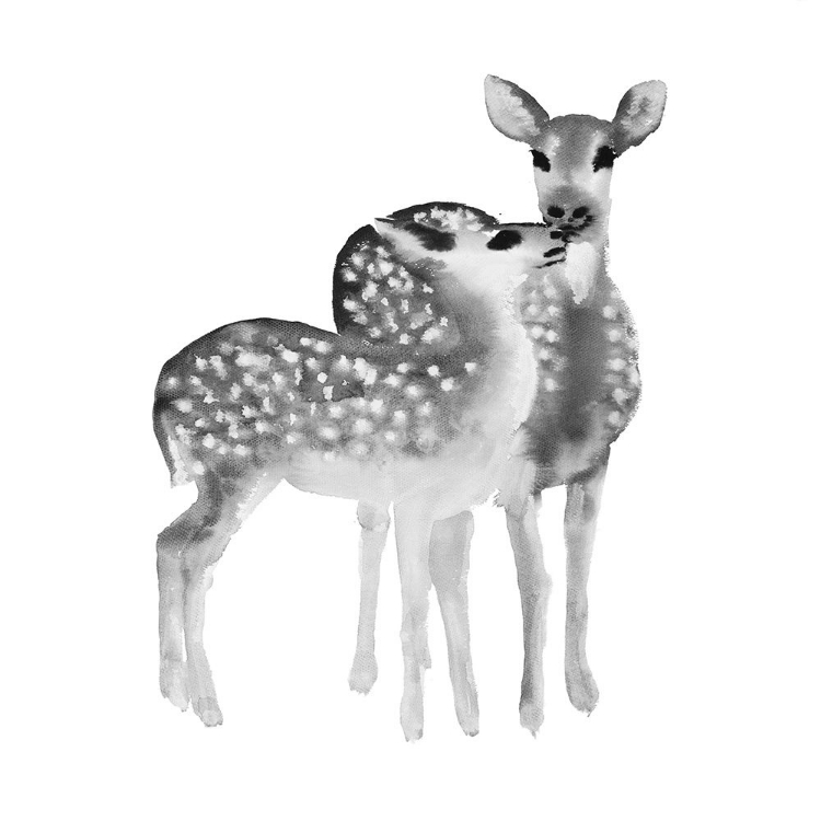 Picture of BLACK AND WHITE FAWNS LOVE