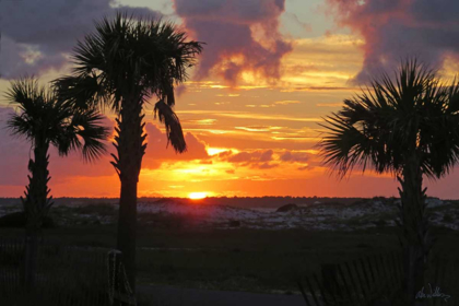Picture of SUNSET PALMS I