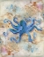 Picture of BLUE OCTOPUS