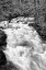 Picture of HAMMA HAMMA RIVER BW
