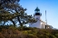 Picture of POINT LOMA LIGHTHOUSE I