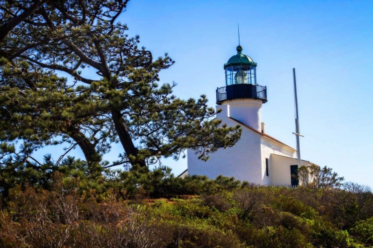 Picture of POINT LOMA LIGHTHOUSE I