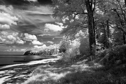 Picture of TAPPAHANNOCK SHORES II