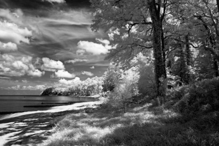 Picture of TAPPAHANNOCK SHORES II