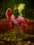 Picture of FLAMINGO FAIRY 82390