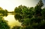 Picture of SUNRISE ON GREEN LAKE I