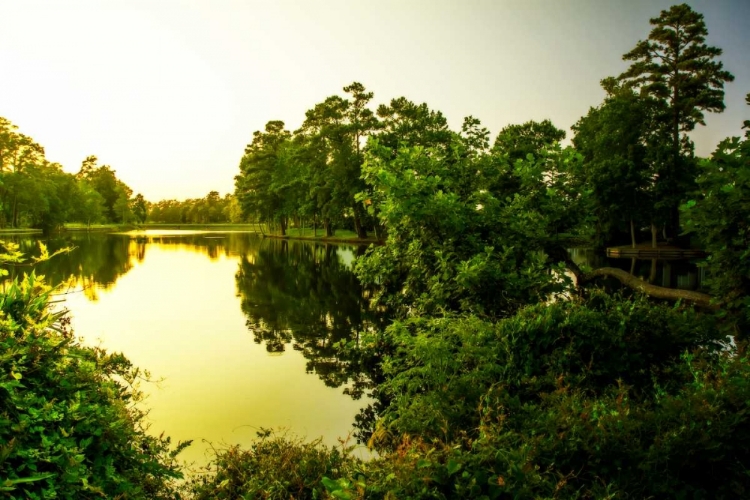 Picture of SUNRISE ON GREEN LAKE I