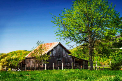 Picture of OLD BACKYARD BARN
