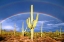 Picture of DESERT BLESSING I